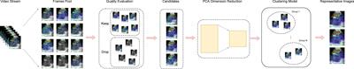 Automatic Image Selection Model Based on Machine Learning for Endobronchial Ultrasound Strain Elastography Videos